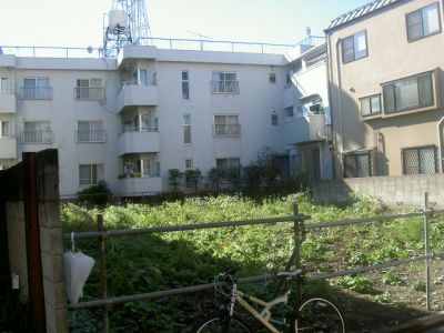 224.jpg