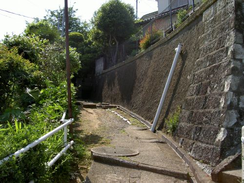 PICT1809.jpg
