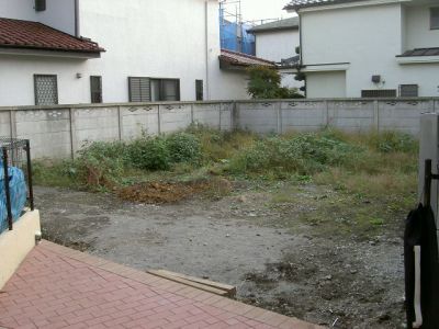 PICT1318.jpg