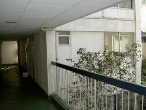 PICT1549.jpg