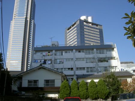 PICT1561.jpg