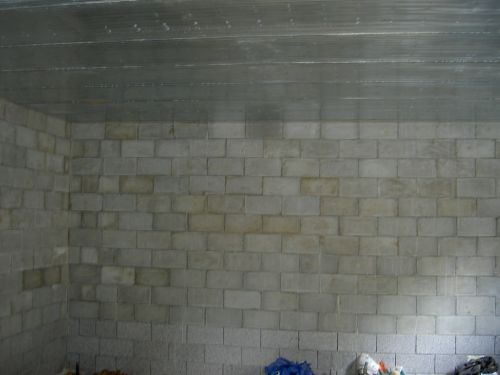 PICT1615.jpg