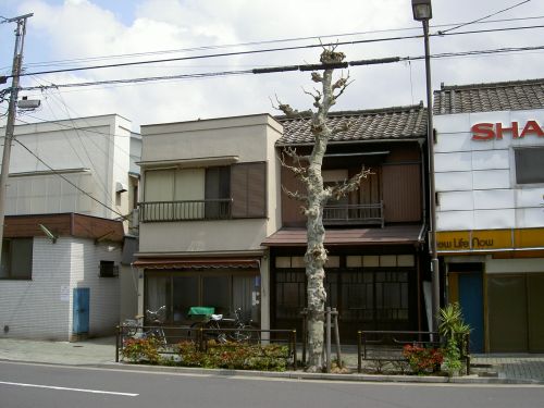 PICT1757.jpg